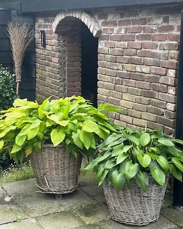 Gastenverblijf Eenigenburg דירה Eenigenburg