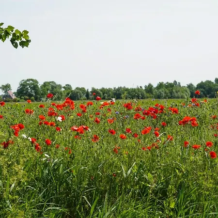Lejlighed Gastenverblijf Eenigenburg *