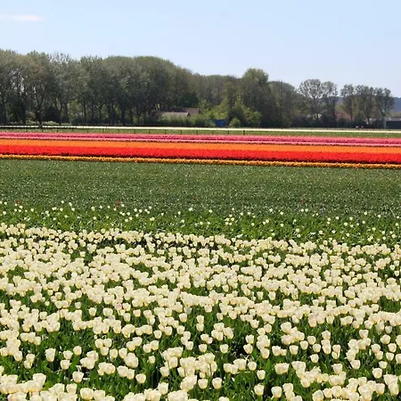 Gastenverblijf Eenigenburg *